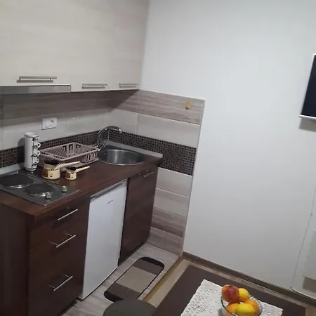 Nikola U Semetes Kopaonik